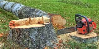 Reliable Moulton, AL Tree Services Solutions